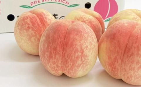 No.2580希少品種CX/シ－エックス 約3kg【2025年発送】