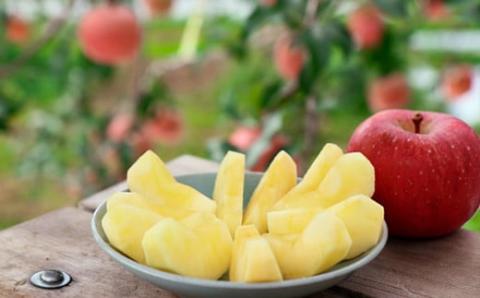 No.2308 りんご「サンふじ」家庭用 約5kg【2025年度発送】