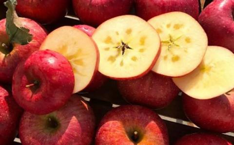 No.2402 菱沼農園　りんご「サンふじ」約3kg【2025年度発送】