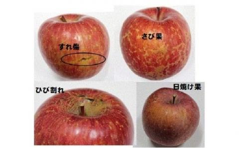 No.1207 福島のりんご「サンふじ」家庭用（バラ詰め簡易梱包） 約10kg【2025年度発送】