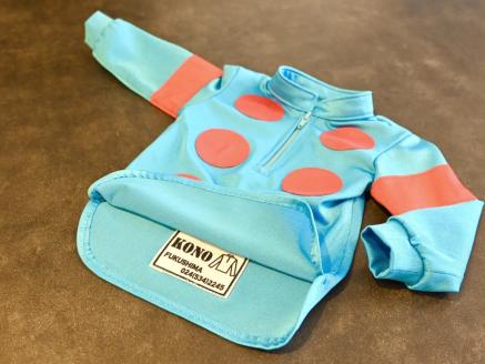 No.2012 　競馬ジョッキー　かわいいミニチュア勝負服　タイプＡ