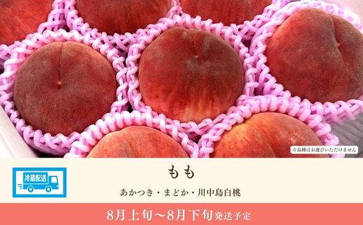 No.3264 道の駅ふくしま 福島市産 もも　約1.5kg（4玉～5玉）【2026年発送】