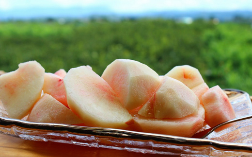 No.1203福島の桃　「ゆうぞら」約3kg【2026年発送】