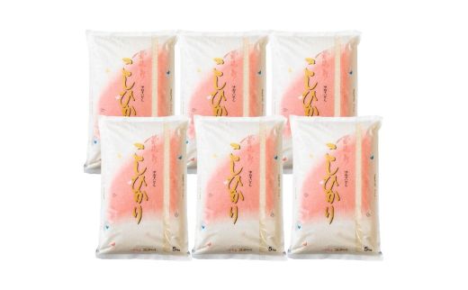 No.1497【令和７年産新米　先行予約】大文字屋米穀店【定期便3回】コシヒカリ 10kg（5kg×2）精米 （3か月連続お届け）