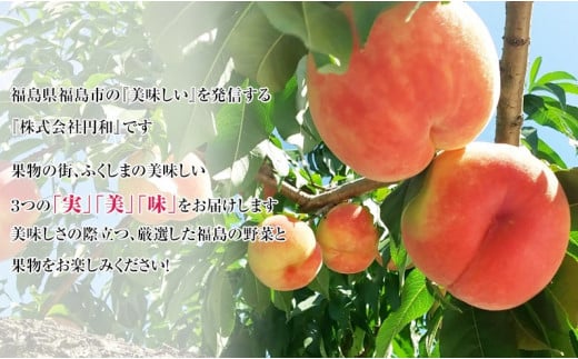 No.1618プチ贅沢な食べ切りサイズ 美味しい品種を厳選！ゆうぞら 約1.4kg【2025年発送】