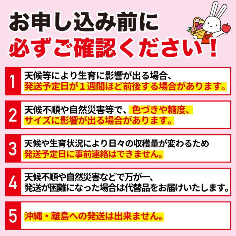 No.1726梨　なし　二十世紀　約2kg　【2025年発送】