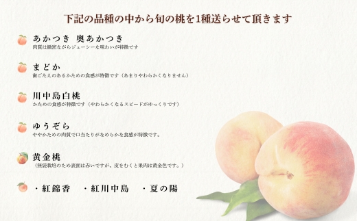No.1758もも　8月収穫の桃　品種お任せ　約2kg【2026年発送】