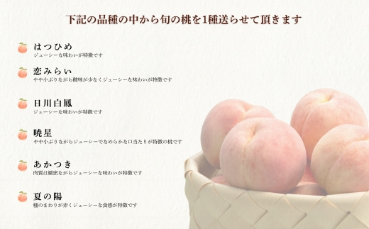 No.1761もも　7月収穫の桃　品種お任せ　約5kg【2026年発送　先行予約】