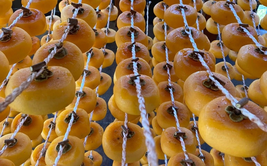 No.1804ヤマ孝紺野果樹園　あんぽ柿(ひらたね柿)5パック入/1箱【2025年度発送】