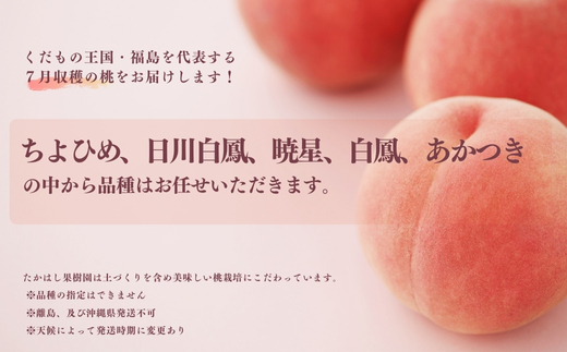 No.1904たかはし果樹園の桃　7月収穫 福島市産 白桃 品種 おまかせ (ちよひめ、日川白鳳、暁星、白鳳、あかつき) 約1.5kg【2026年発送 先行予約】