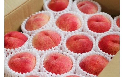 No.2026【2026年発送】福島のもも 約3kg 定期便3回