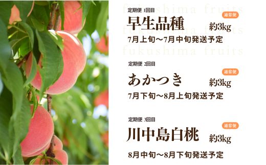 No.2222中野/佐藤果樹園 福島の桃３種定期便 各3kg【2026年発送 先行予約】