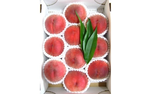 No.2320【限定100箱】吟壌桃「あかつき」約3kg【2025年発送】