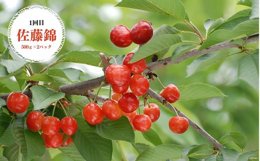 No.2337【全6回】あづま果樹園くだもの定期便【2025年発送】