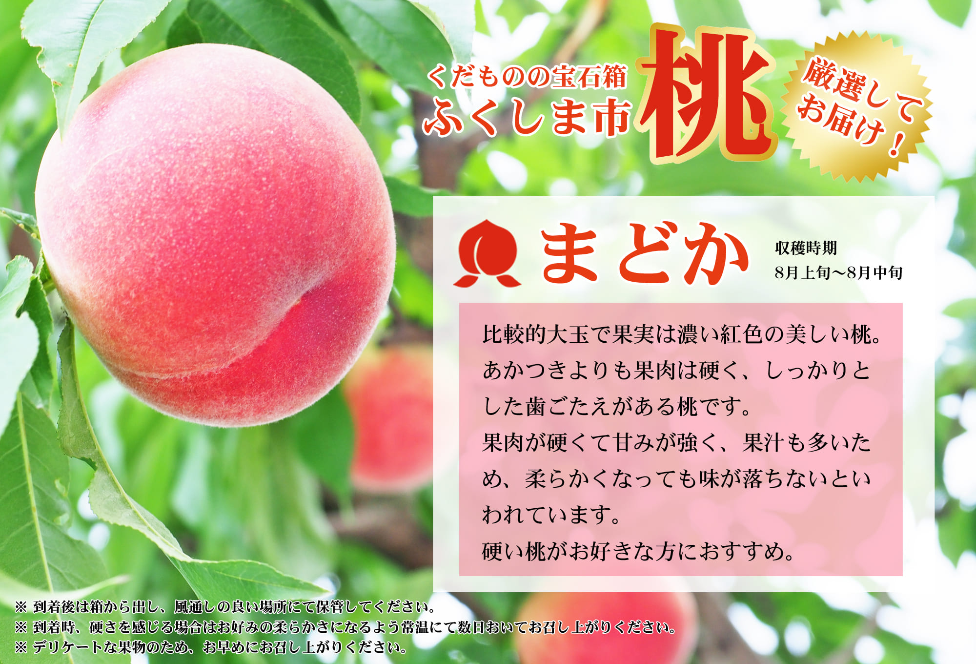 No.2435もも「まどか」 特秀品約1kg【2026年発送】