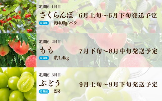 No.2453株式会社円和 青果部【全3回】くだもの紀行定期便【2026年発送】