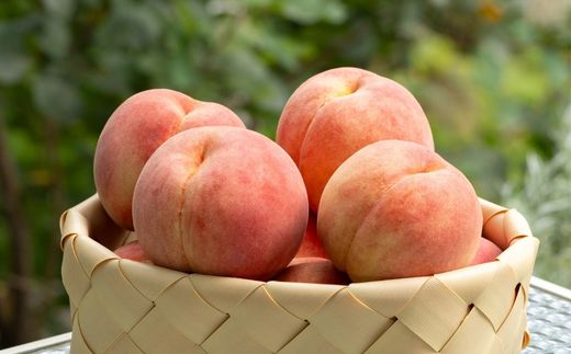 No.2475 くだものを現地で入手！！「ふくしまフルーツチケット」