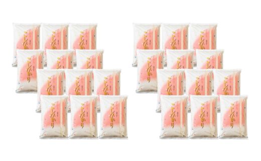 No.2497【令和７年産新米　先行予約】大文字屋米穀店【定期便12回】コシヒカリ 10kg（5kg×2）精米 （毎月お届け）