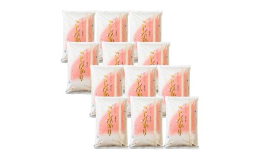 No.2498【令和７年産新米　先行予約】大文字屋米穀店【定期便12回】コシヒカリ 5kg 精米（毎月お届け）