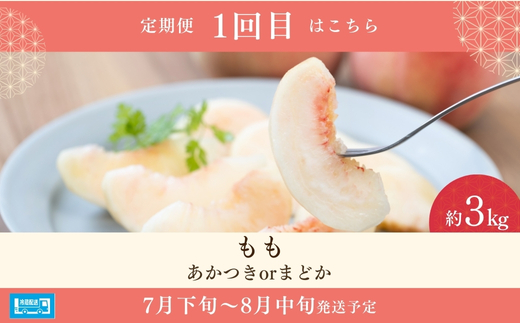 No.2528 【2026年発送分】フルーツ３種定期便　（桃約３kg、梨約３kg、ｼｬｲﾝﾏｽｶｯﾄ2～3房）