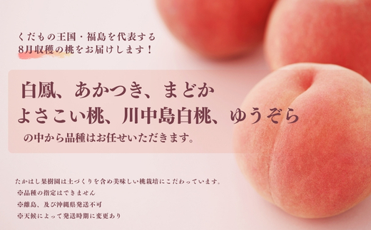 No.2531たかはし果樹園の桃　8月収穫 福島市産 白桃 品種 おまかせ (白鳳、あかつき、まどか、よさこい桃、川中島白桃、ゆうぞら ) 約2kg【2026年発送 先行予約】