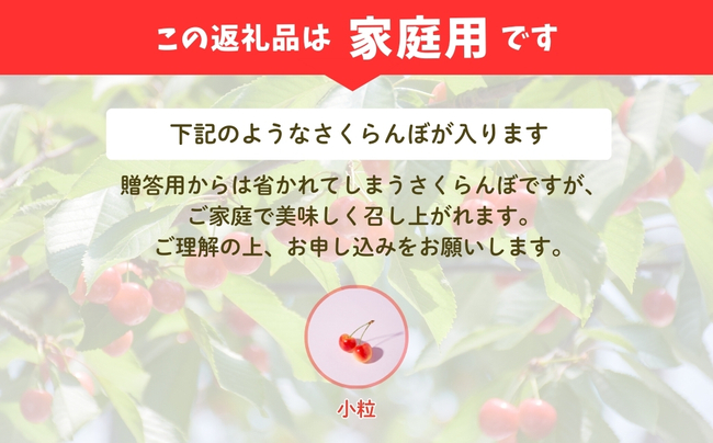 No.2575【ご家庭用】さくらんぼ 品種お任せ 約1kg（バラ詰、小粒）【2026年発送】