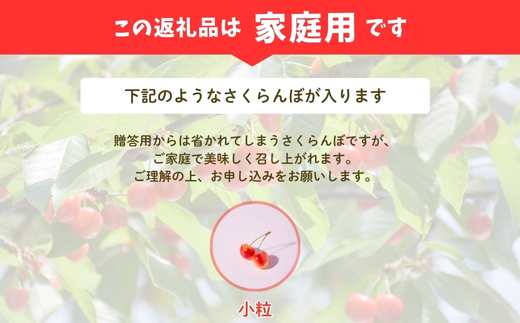 No.2635【ご家庭用】さくらんぼ 品種お任せ 小粒　約600ｇ（200ｇ×3パック）【2026年発送】
