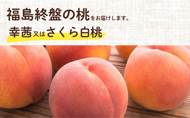 No.2689福島シーズン最後の桃『晩成桃』約3kg【2026年発送】