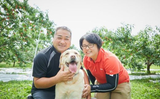 No.2724福島市産　さくら白桃　約2kg【2026年発送】