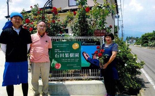 No.2737梨　豊水　3kg【2026年発送　先行予約】