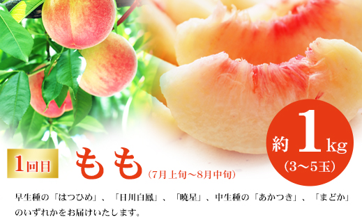 No.2768福島のフルーツ定期便３種【2026年発送】