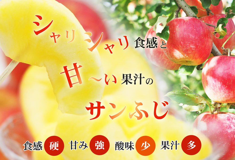 No.2772 ふくしまのサンふじりんご　約10kg【2025年度発送】