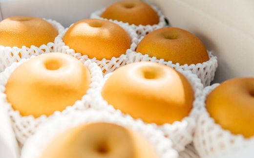 No.2782旬の特選梨 あきづき3kg【2026年発送】