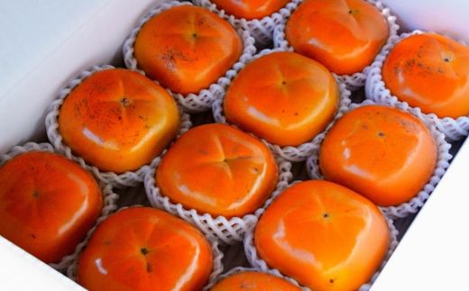 No.2859 太秋柿　約3kg【2026年発送】