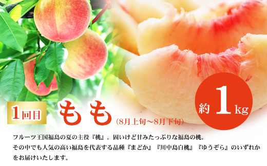 No.2867福島のフルーツ定期便３種【2026年発送】