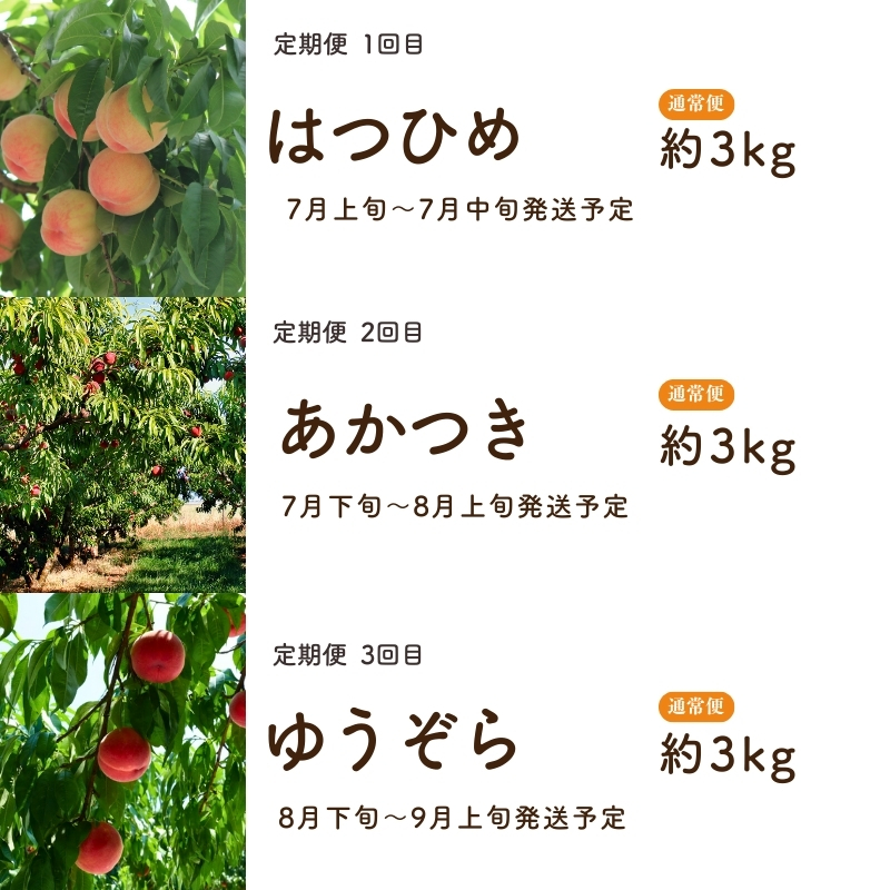No.2883 ももの定期便　３種類 はつひめ/あかつき/ゆうぞら　各約3kg【2026年発送】