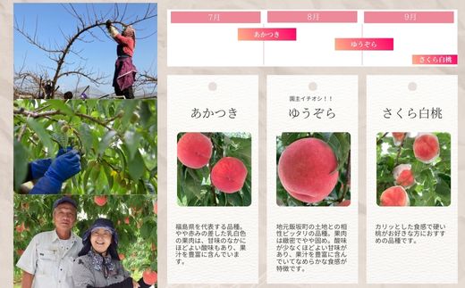 No.2917 ヤマ考紺野果樹園 福島の桃だけ３種定期便 各約2kg【2026年発送】