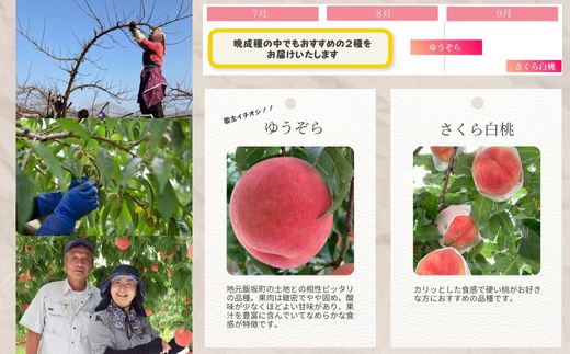 No.2918 ヤマ考紺野果樹園 福島の桃だけ２種定期便各約2kg【2026年発送】