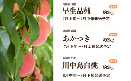 No.2967中野/佐藤果樹園 福島の桃３種定期便 各約2kg【2026年発送 先行予約】