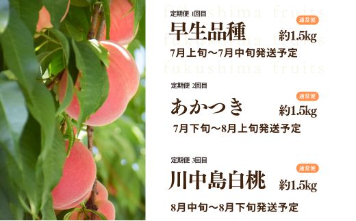 No.2969中野/佐藤果樹園 福島の桃３種定期便 各約1.5kg【2026年発送 先行予約】