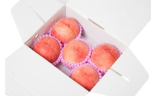 No.2997 福島県福島市産 旬のもも (白桃・品種おまかせ)  約1kg(3～6玉)【2025年発送】