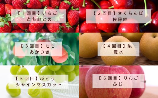 No.2998 福島の美味しい果物定期便【2025年発送】