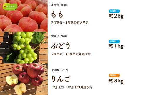 No.3005 フルーツプレミアム定期便【2026年発送 先行予約】