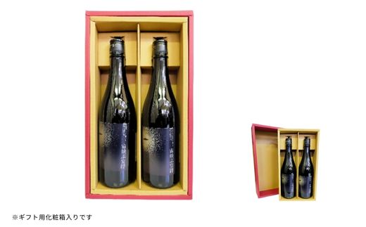 No.3072 UFOの里　宙飛ぶ宴絆・純米吟醸薄にごり酒 720ml 2本