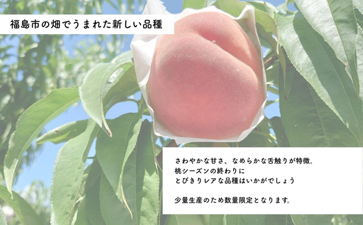 No.3234 福島のもも「愛みさき」 約2kg【2026年発送　先行予約】