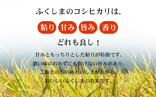 No.3247 【令和7年産】 菅野房吉商店 福島市産コシヒカリ 4kg