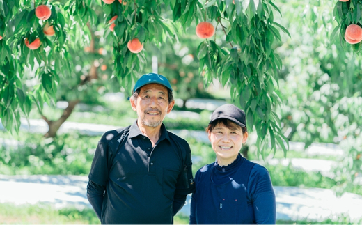 No.3307 種まきうさぎ 福島市産 黄桃 (品種おまかせ)　約3kg