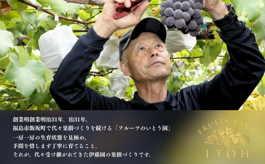 No.3309 ぶどうセット約1.5kg　シャインマスカット＆黒葡萄（巨峰.ﾋﾟｵ－ﾈ）