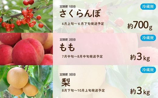 No.3313【全6回】あづま果樹園くだもの定期便【2026年発送】