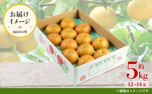 No.3315梨　なし　豊水　約5kg　【2026年発送】